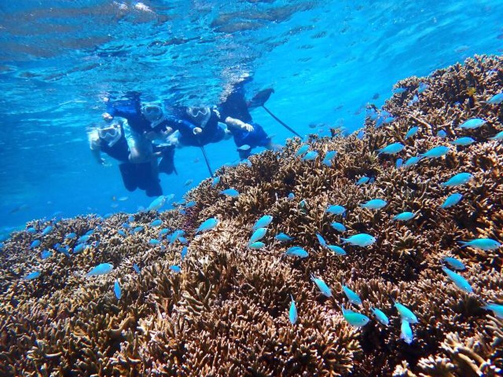 写真撮り放題データはその場でお渡し♪