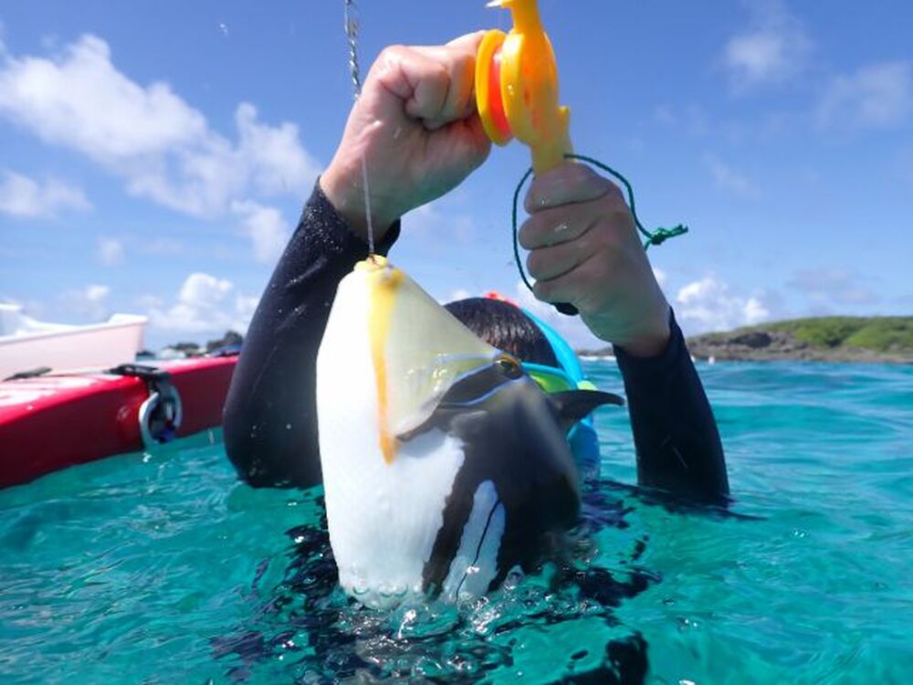 写真撮り放題データはその場でお渡し♪