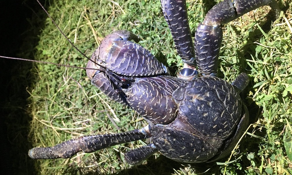 写真撮り放題データはその場でお渡し♪