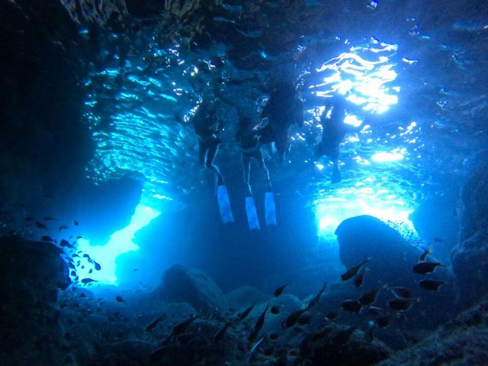 ツアー中に撮った写真、動画をプレゼント♪