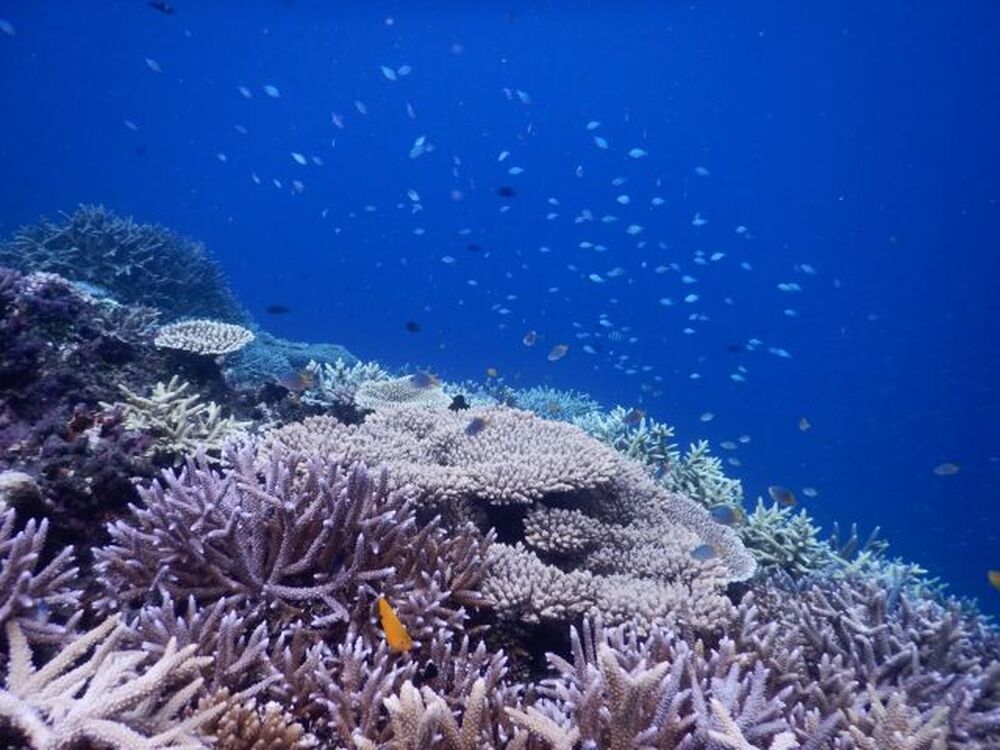 ツアー中に撮った写真、動画をプレゼント♪