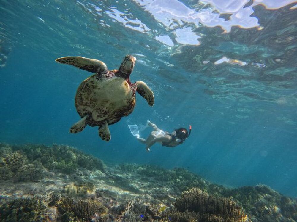 ツアー中に撮った写真、動画をプレゼント♪