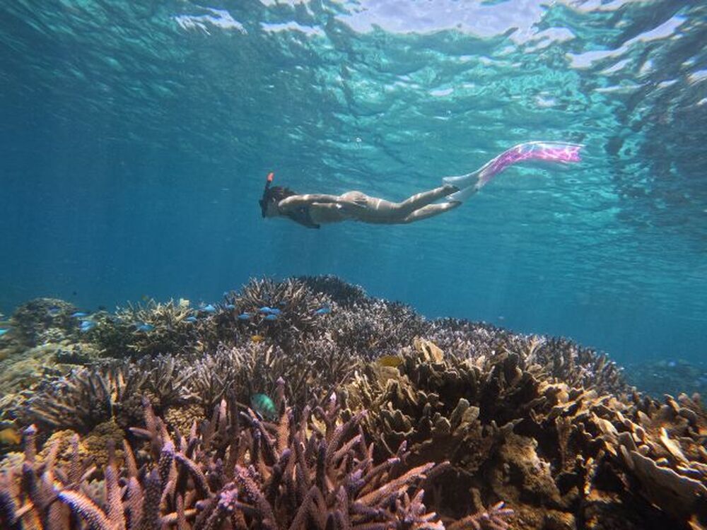 ツアー中に撮った写真、動画をプレゼント♪