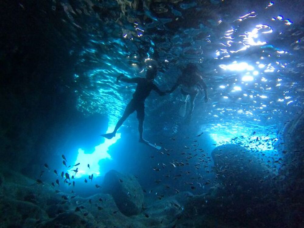 ツアー中に撮った写真、動画をプレゼント♪