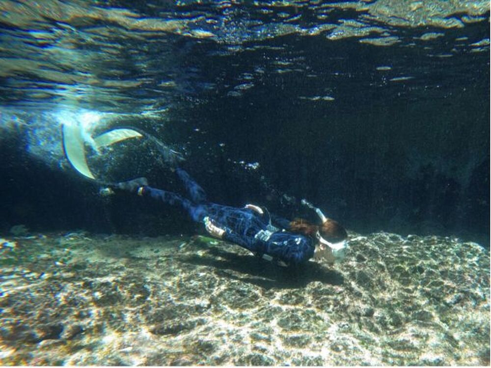 ツアー中に撮った写真、動画をプレゼント♪