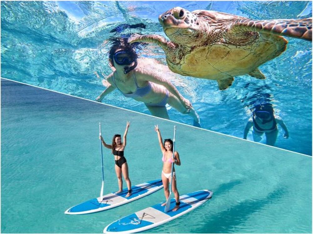 ツアー中に撮った写真データをプレゼント♪