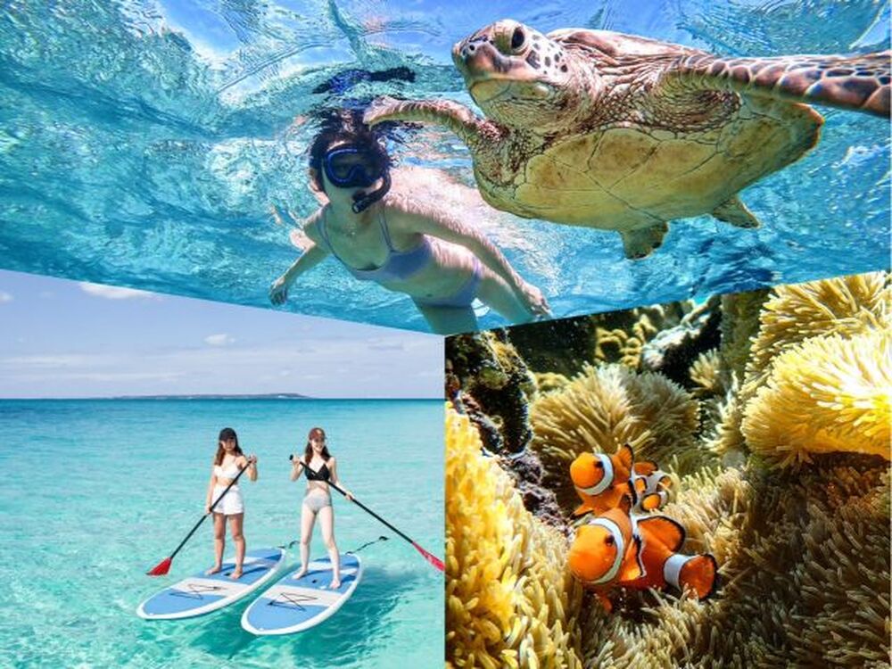 ツアー中に撮った写真データをプレゼント♪
