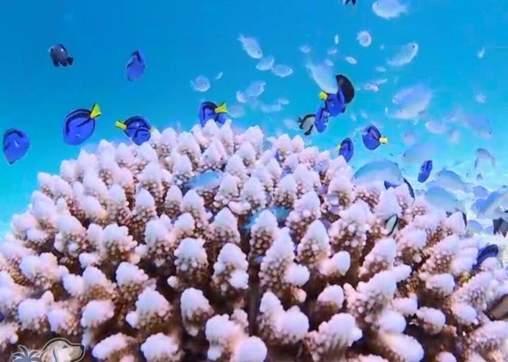 宮古島のおすすめスポット教えます♪