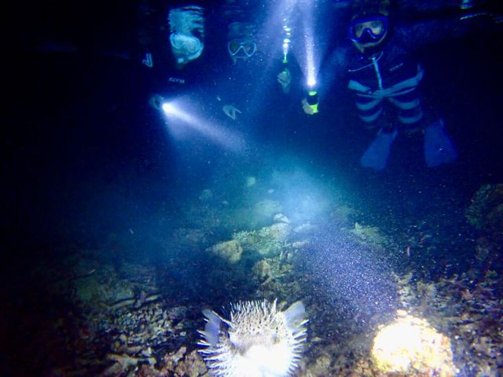 ツアー中の写真プレゼント♪