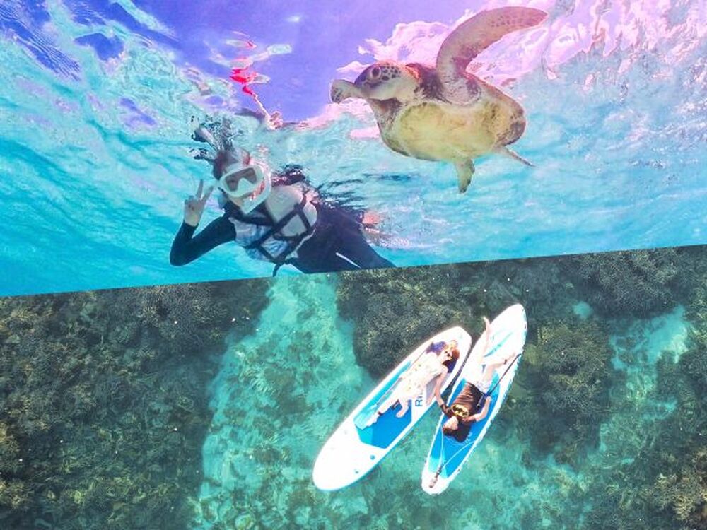 ツアー中に撮った写真をプレゼント♪