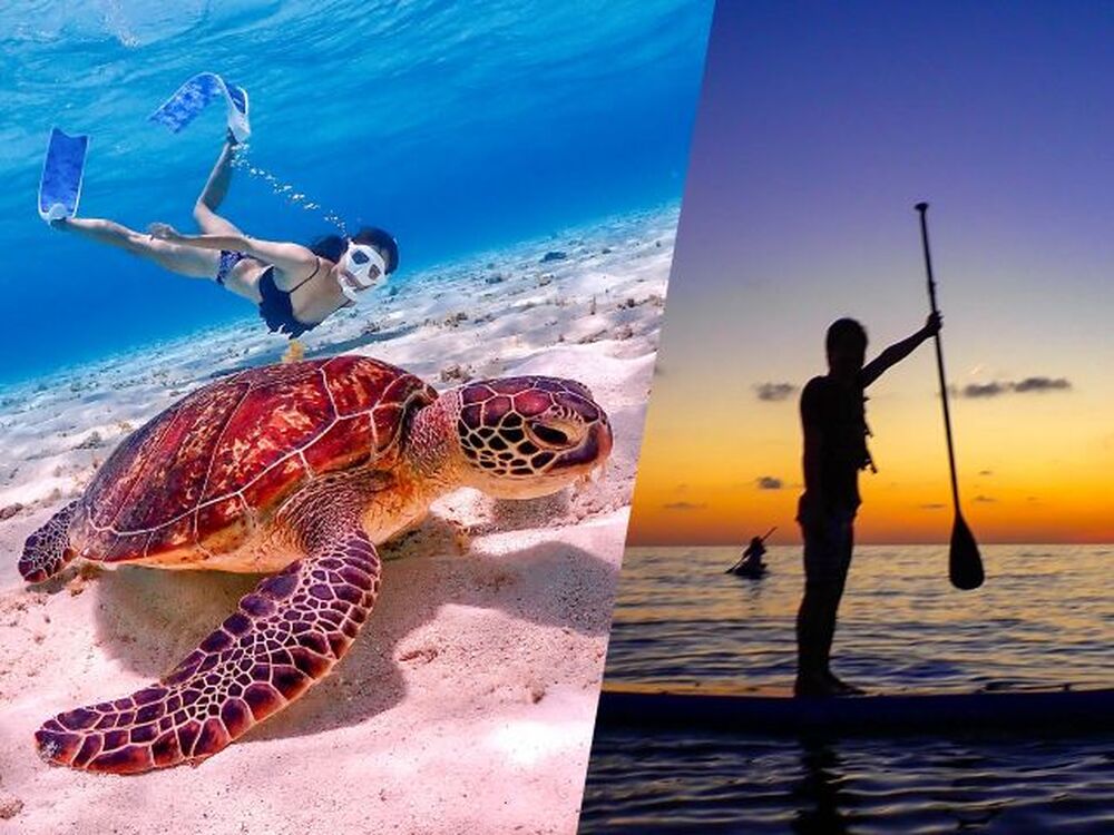 ツアー中に撮った写真をプレゼント♪