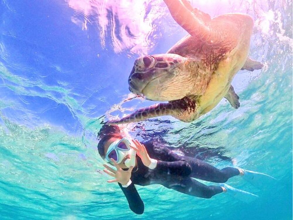 ツアー中に撮った写真をプレゼント♪