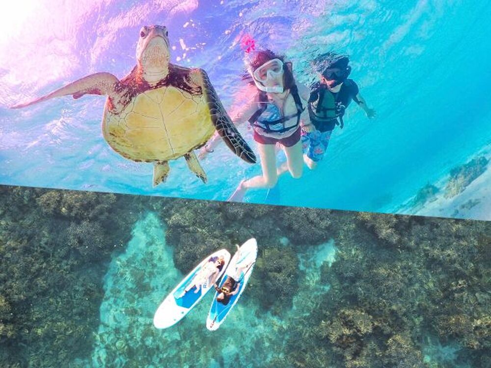 ツアー中に撮った写真をプレゼント♪