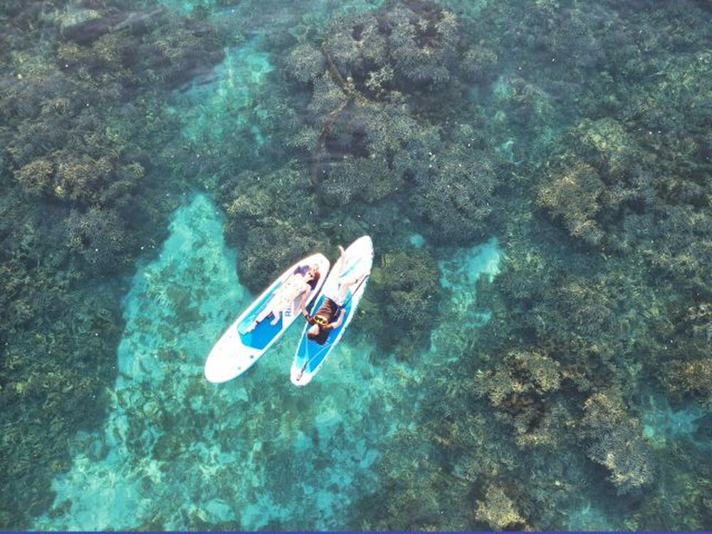 ツアー中に撮った写真をプレゼント♪