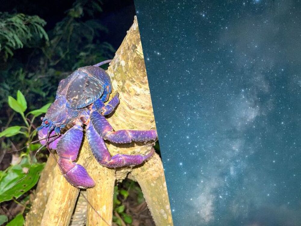 ツアー中に撮った写真をプレゼント♪