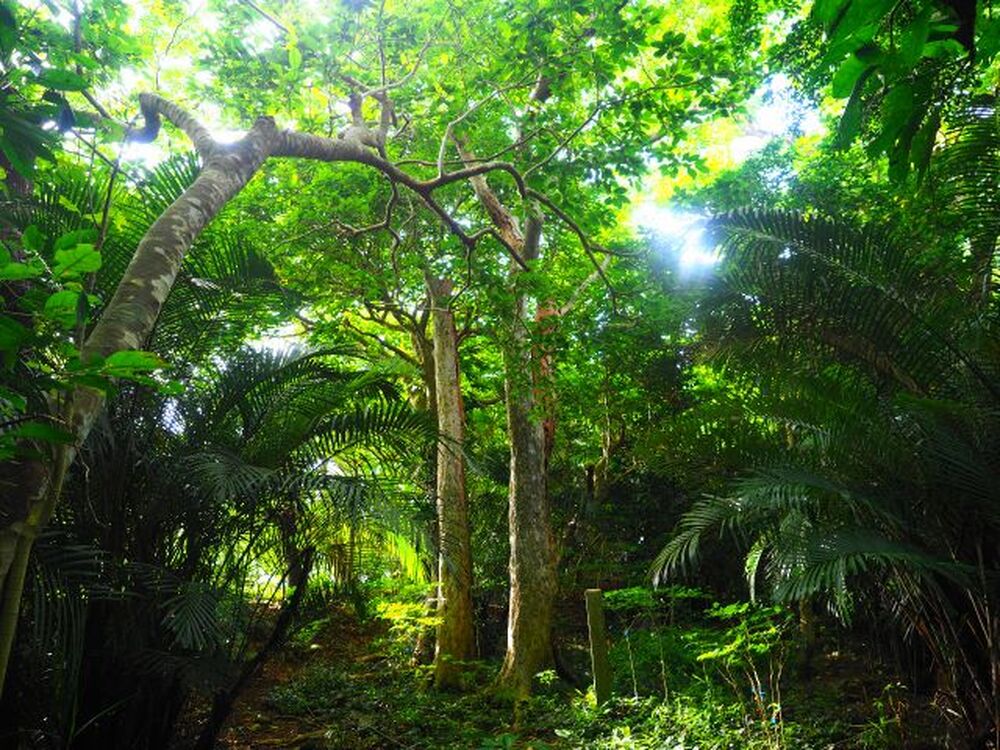 ツアー中の写真プレゼント♪