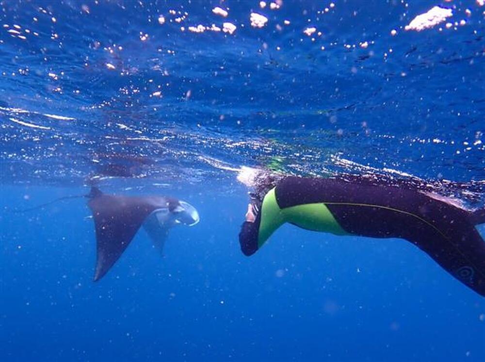 ツアー中の写真データ無料プレゼントつき！