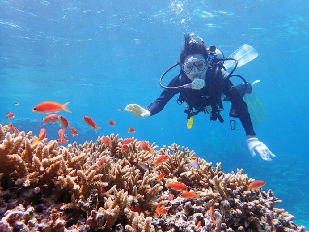 石垣島のおすすめスポット教えます♪