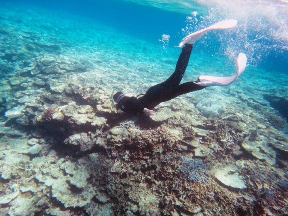 石垣島のおすすめスポット教えます♪