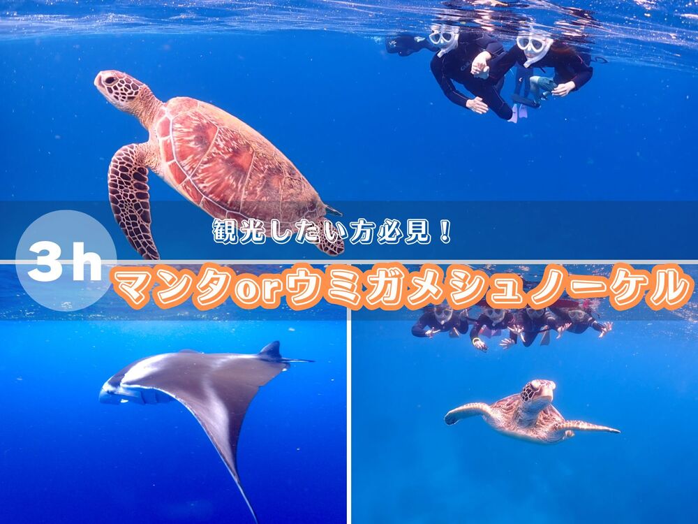 写真を無料プレゼント♪