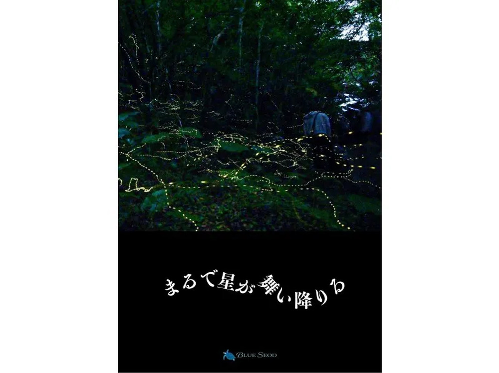 写真を無料プレゼント♪