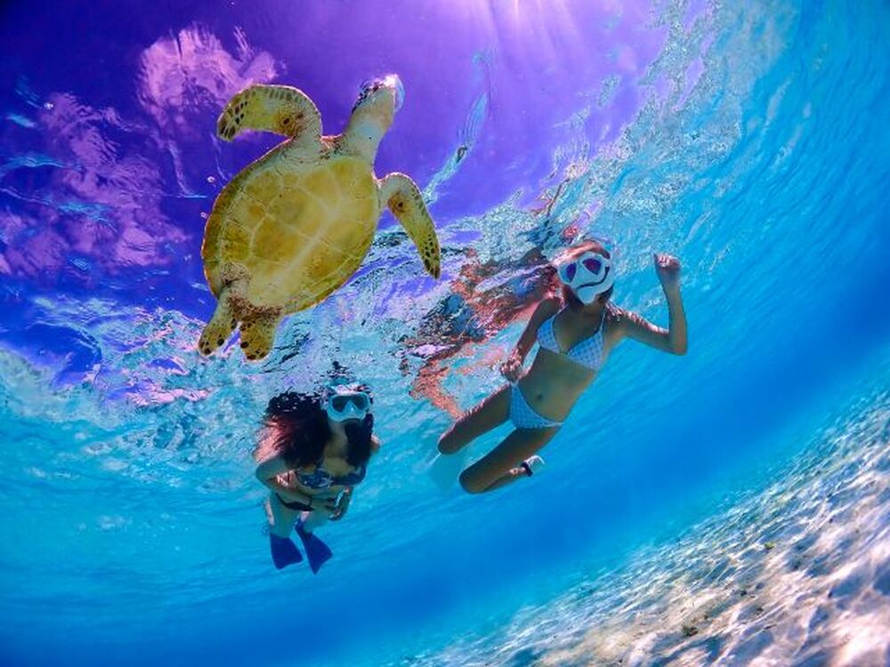 ツアー中の写真プレゼント♪
ツアー後にデータをお渡しします！