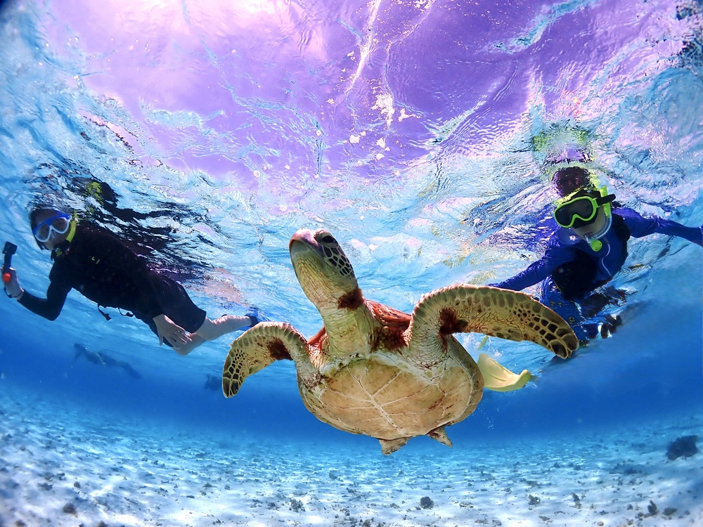 １ツアー最大6名様のみ！少人数制でゆとりのあるツアーです！