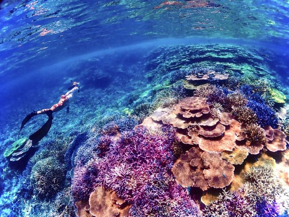 ツアー中の写真プレゼント♪