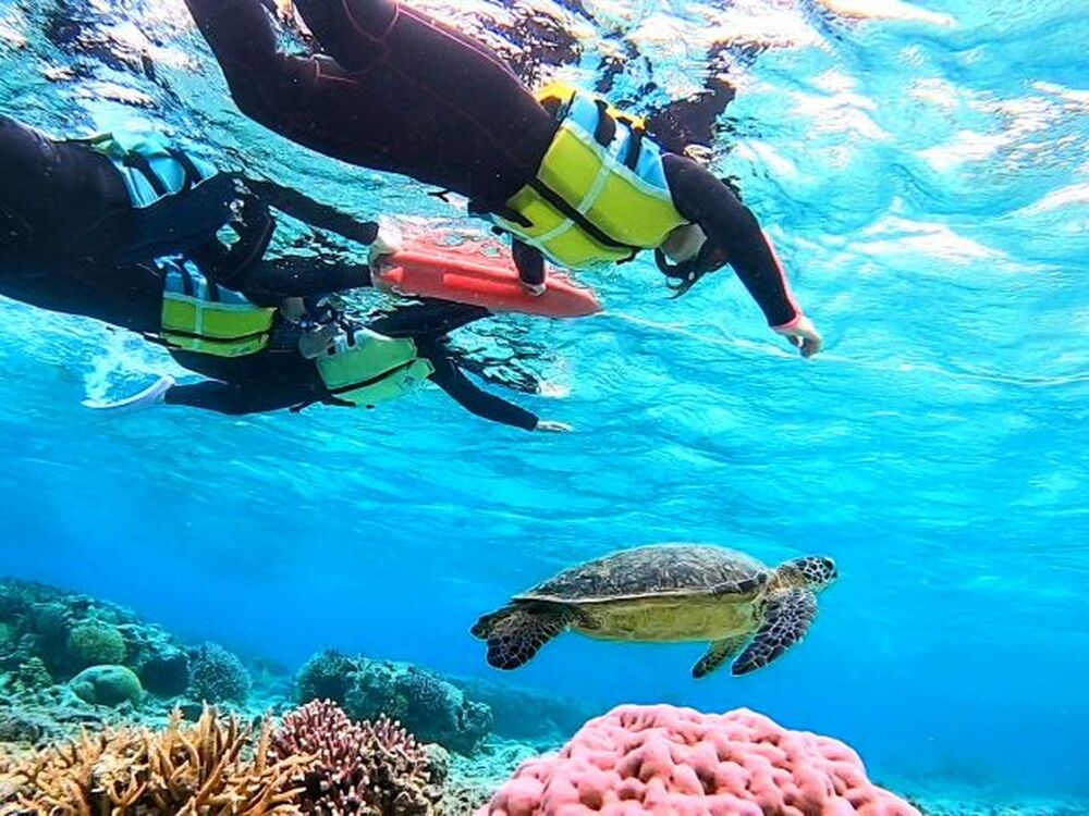 ツアー参加者の方々には、ツアー以外の時間帯に、
マスク・フィン・ライフジャケット等のシュノーケリング機材を無料でお貸しします！
且つ、当日中のフェリーターミナルへの送迎も対応します！
