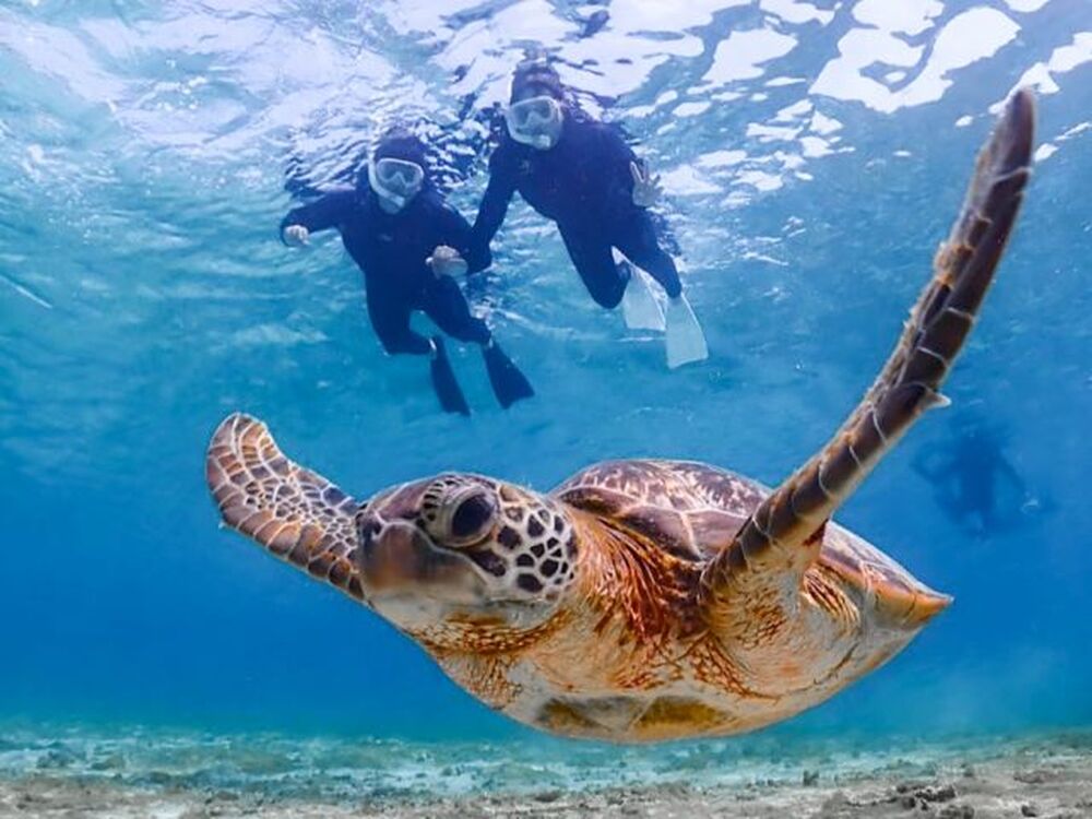 ツアー中に撮った写真データをプレゼント♪