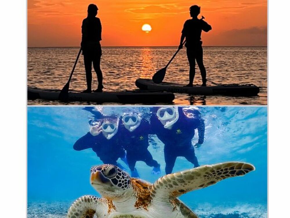 ツアー中に撮った写真データをプレゼント♪