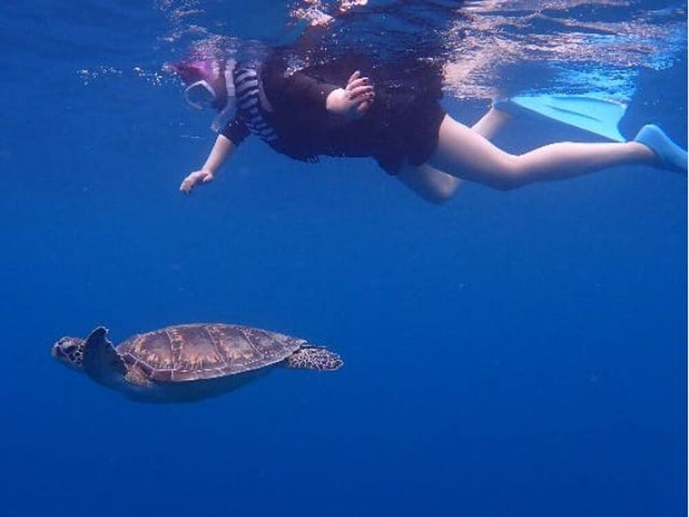 島のおすすめ教えます♪