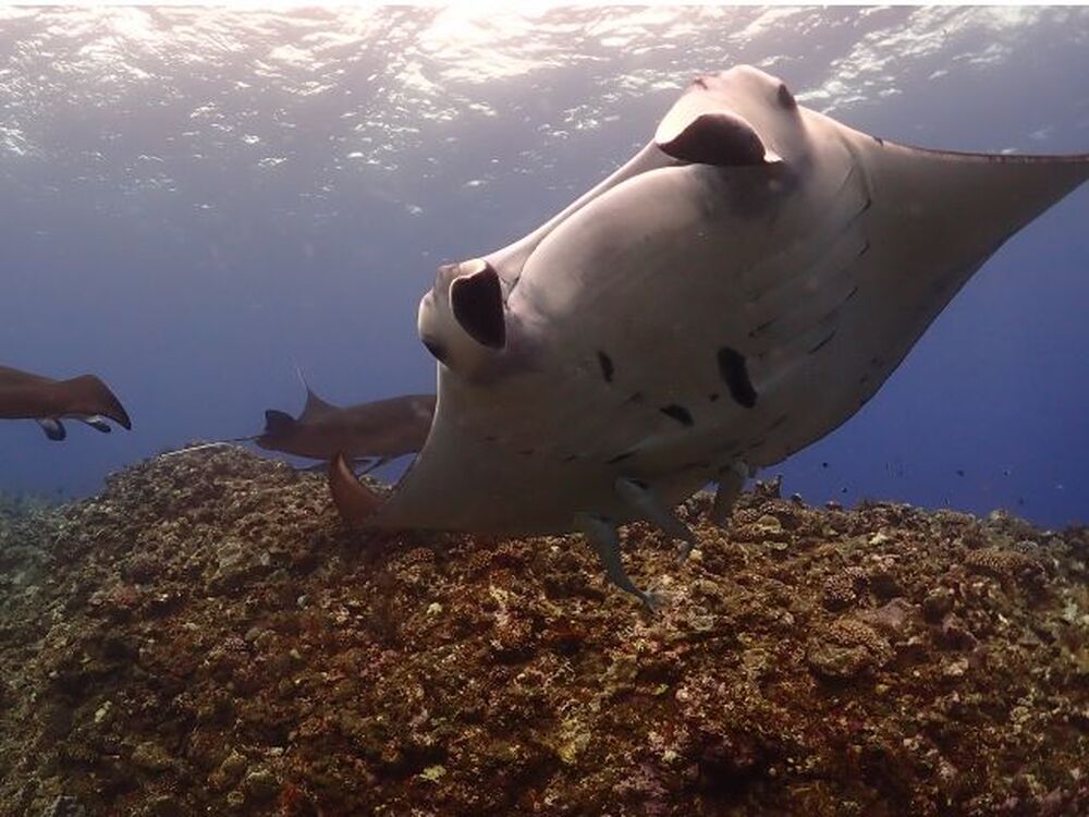島のおすすめ教えます♪