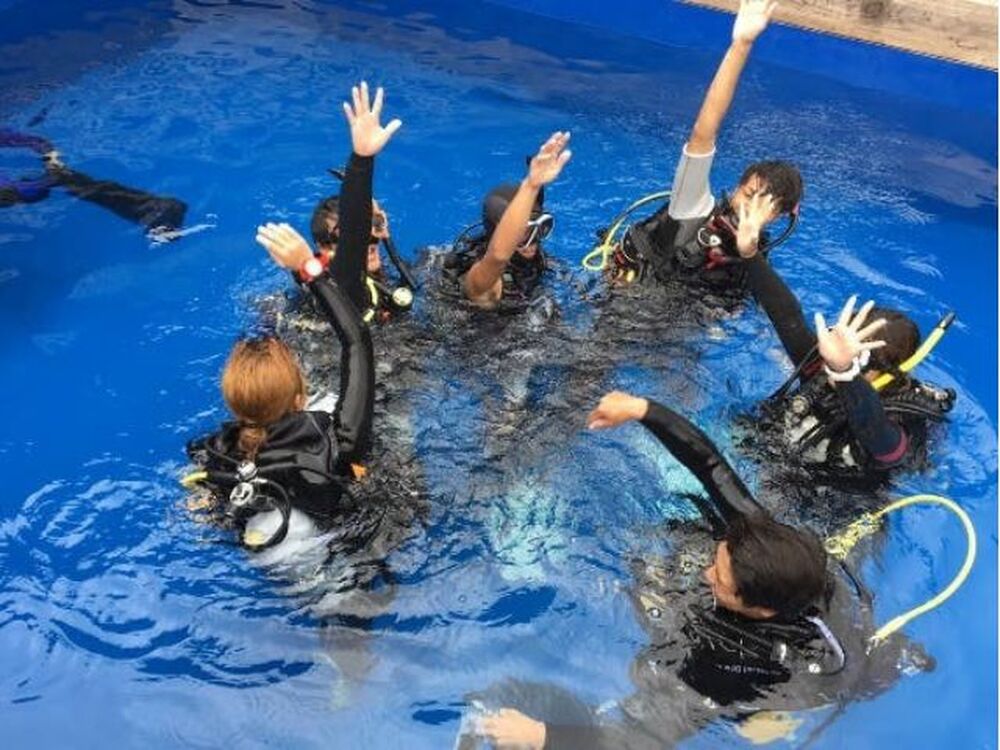 島のおすすめ教えます♪