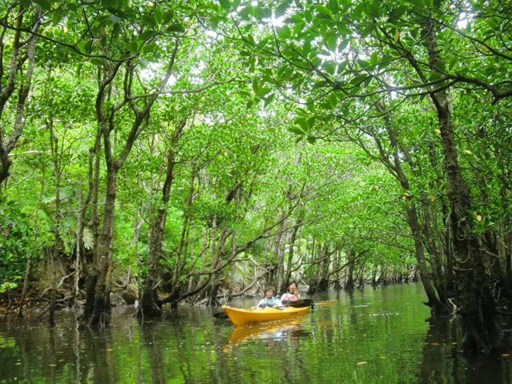 島のおすすめ教えます♪写真もお撮りしますよ