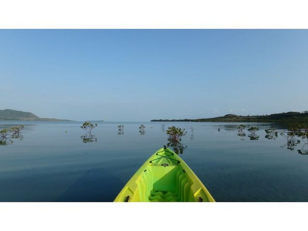 島のおすすめ教えます♪写真もお撮りしますよ