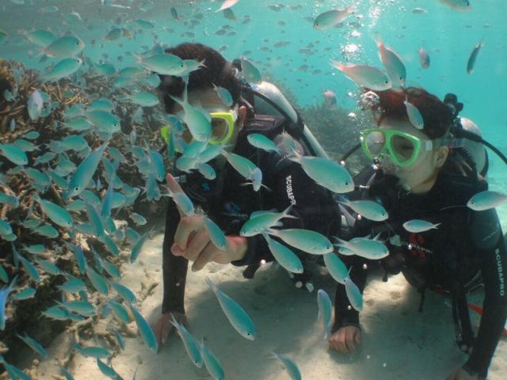 島暮らしのお話しをします♪