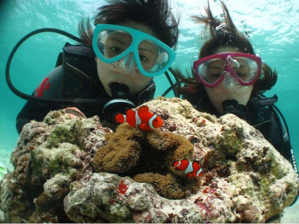 島暮らしのお話しをします♪