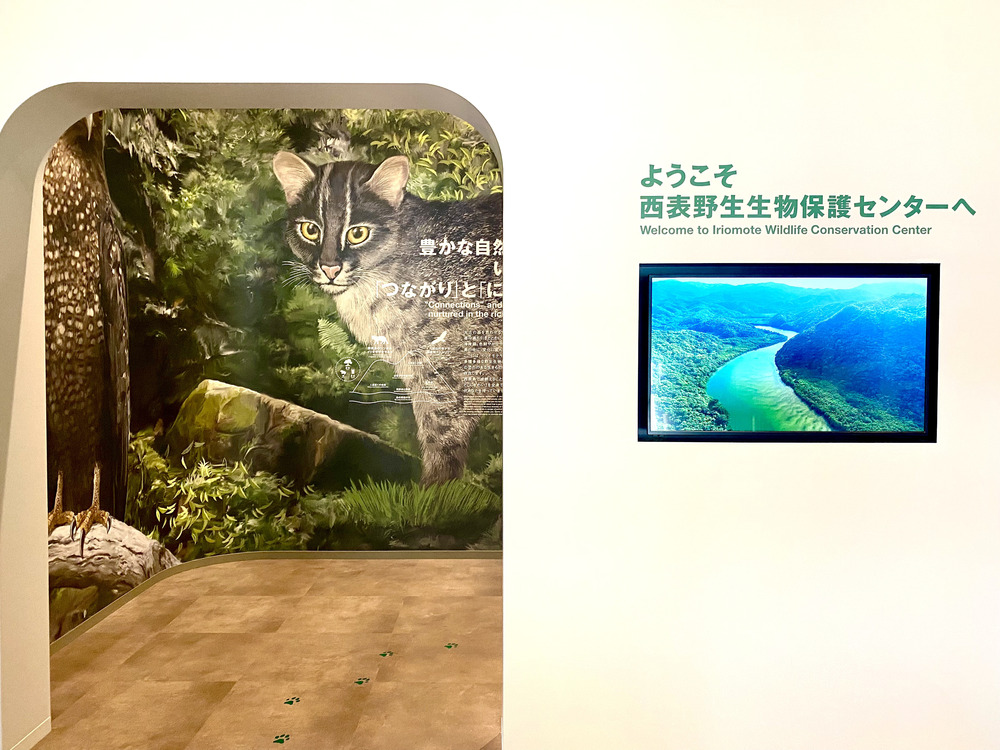 ガイドと行く野生生物保護センター (休館日には別の特典をご用意します)