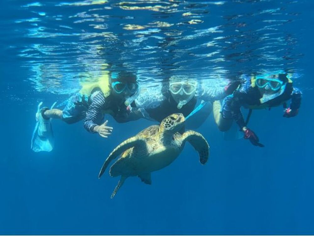 島暮らしのお話しをします♪