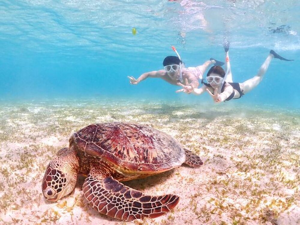 島暮らしのお話しをします♪