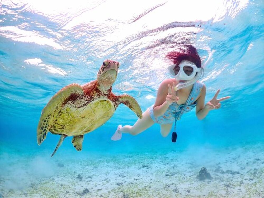 島暮らしのお話しをします♪