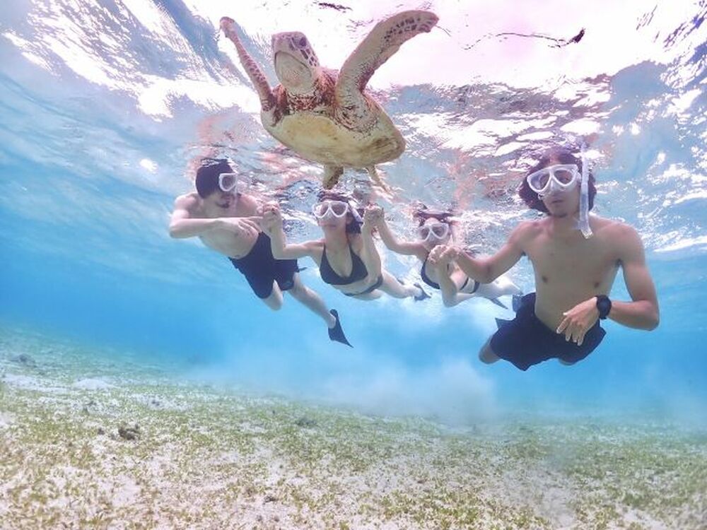 島暮らしのお話しをします♪