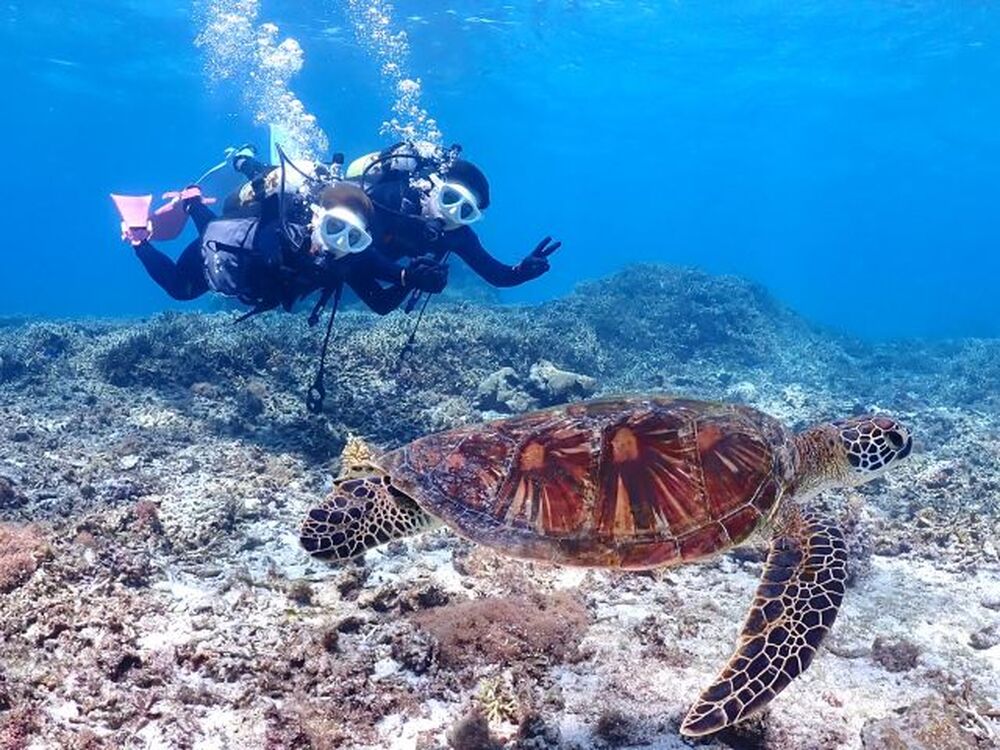 島暮らしのお話しをします♪