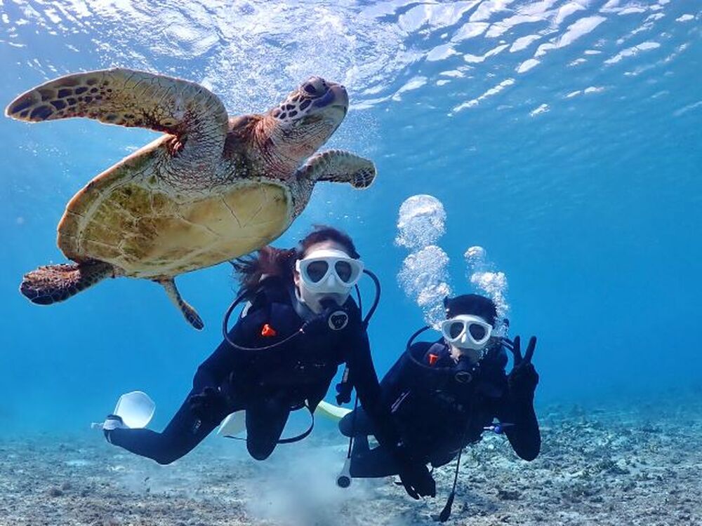 島暮らしのお話しをします♪