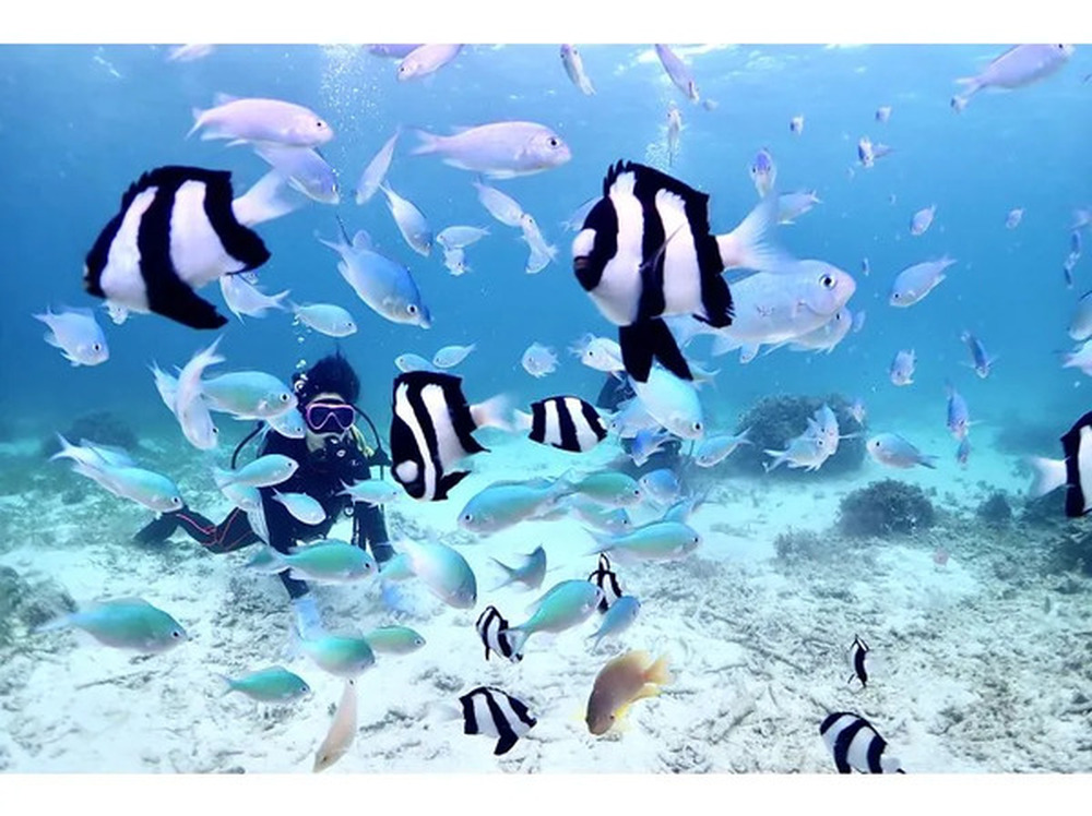 島暮らしのお話しをします♪