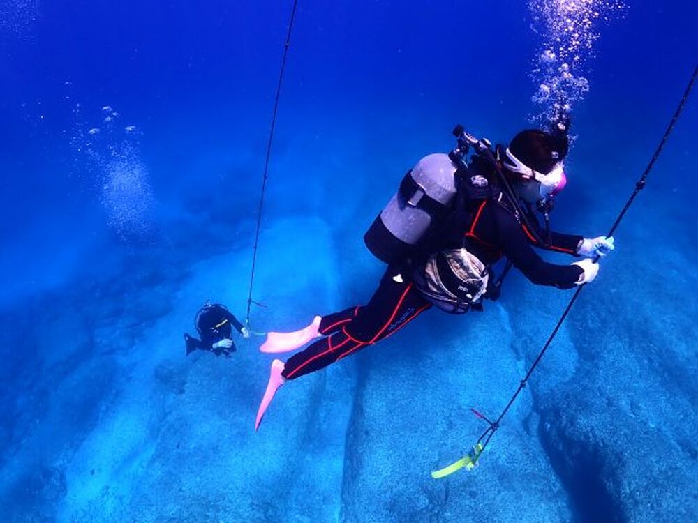 島暮らしのお話しをします♪