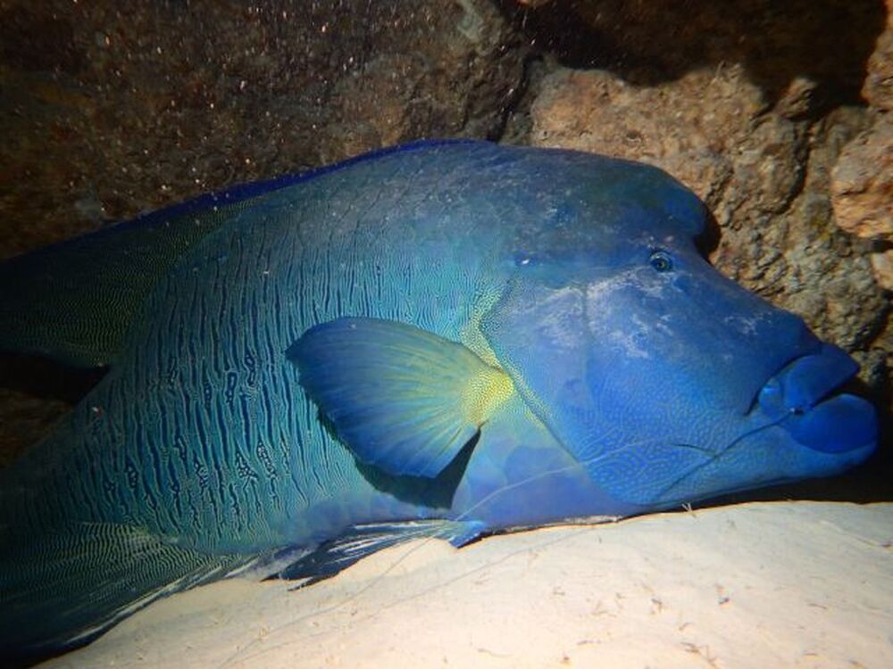 島暮らしのお話しをします♪