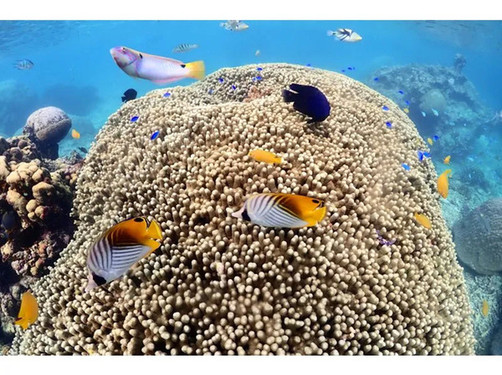 島暮らしのお話しをします♪