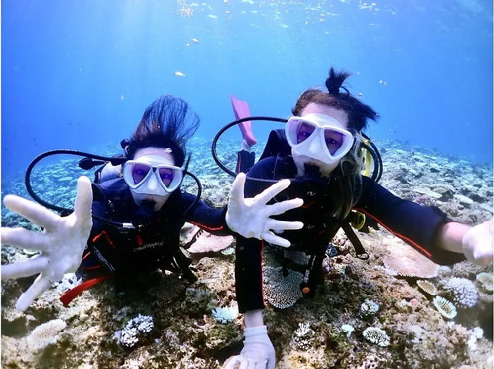 島暮らしのお話しをします♪